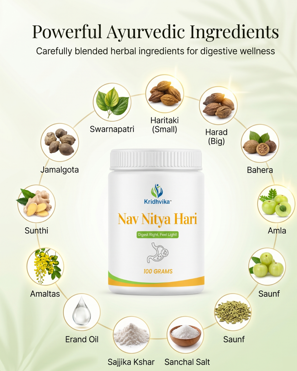 KRIDHVIKA NAV NITYA HARI Ayurvedic Digestive & Kabja Care Powder for Stomach Wellness and Gut Support | Helps Maintain Easy Bowel Movement | Use 2–3 gm with Warm Water | 100 gm