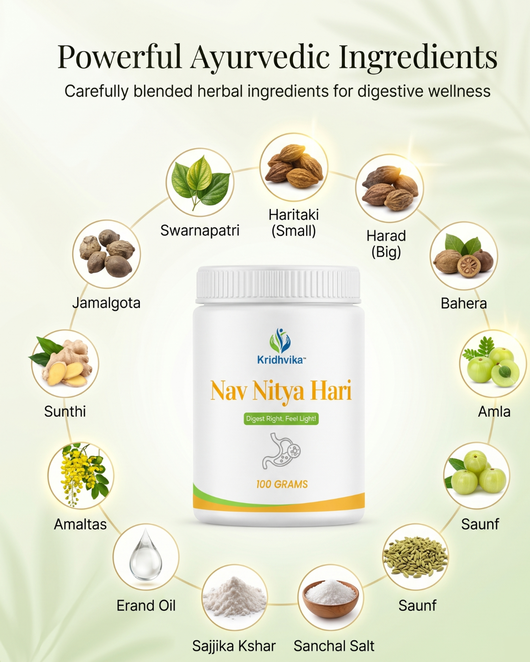 KRIDHVIKA NAV NITYA HARI Ayurvedic Digestive & Kabja Care Powder for Stomach Wellness and Gut Support | Helps Maintain Easy Bowel Movement | Use 2–3 gm with Warm Water | 100 gm